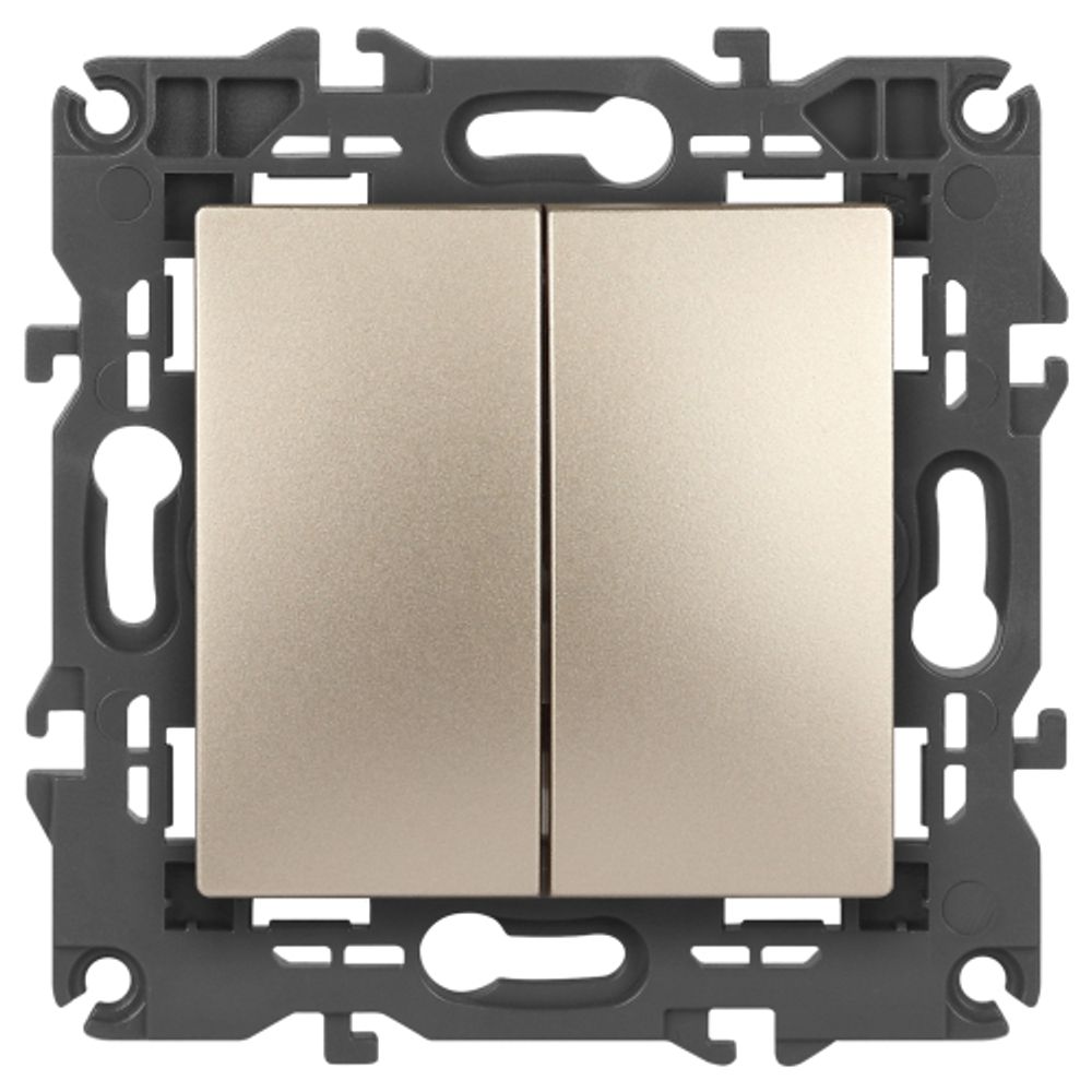 14-1104-04 ЭРА Выключатель двойной, 10АХ-250В, IP20, Эра Elegance, шампань | Elegance Шампань