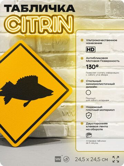 Табличка декоративная "Рыба Окунь " на дверь и стену, информационная и предупреждающая, декоративный знак, 24,5х24,5 см, пластиковая, Айдентика Технолоджи