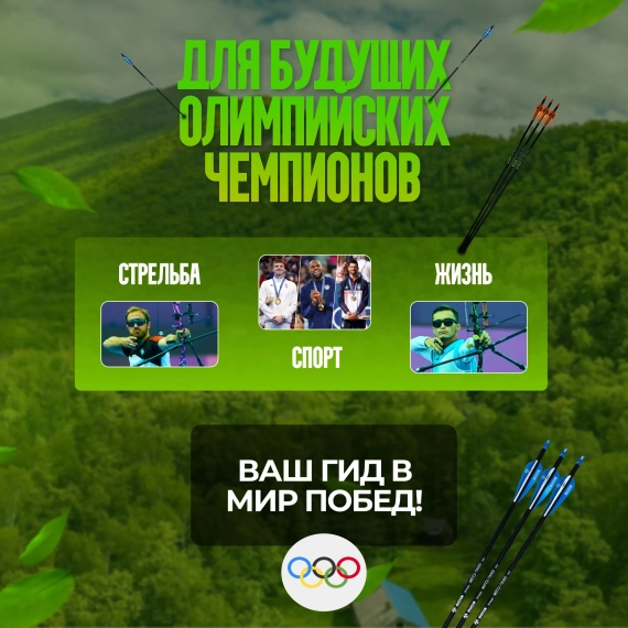 Лук cпортивный олимпик со стрелами 34 Lbs