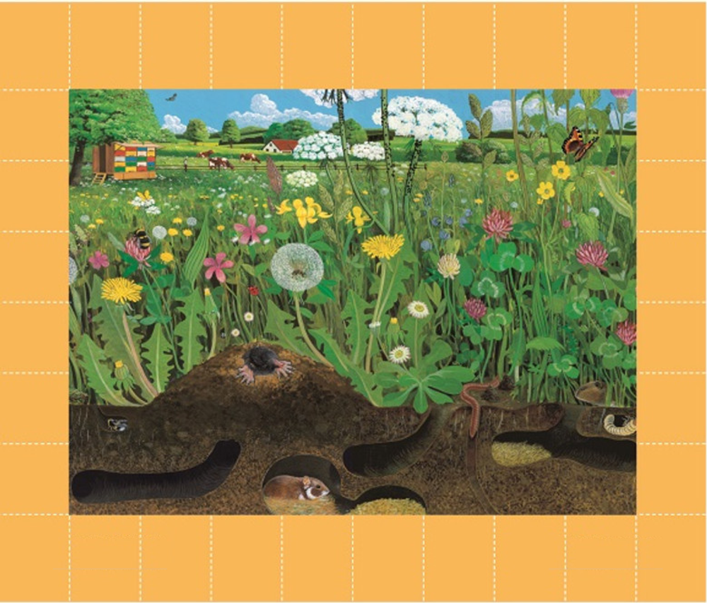 Плакат магнитный "Природное сообщество луга" с методическими рекомендациями