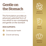 Solgar, Gentle Iron®, добавка с железом, 25 мг, 90 растительных капсул