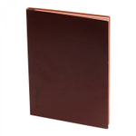 Записная книжка, 17,5 см х 25,0 см, Yalong, интегр переплет, иск. кожа, ляссе-закладка с металлич. фурнитурой, тонир. срез, ассорти, клетка, 112 л,