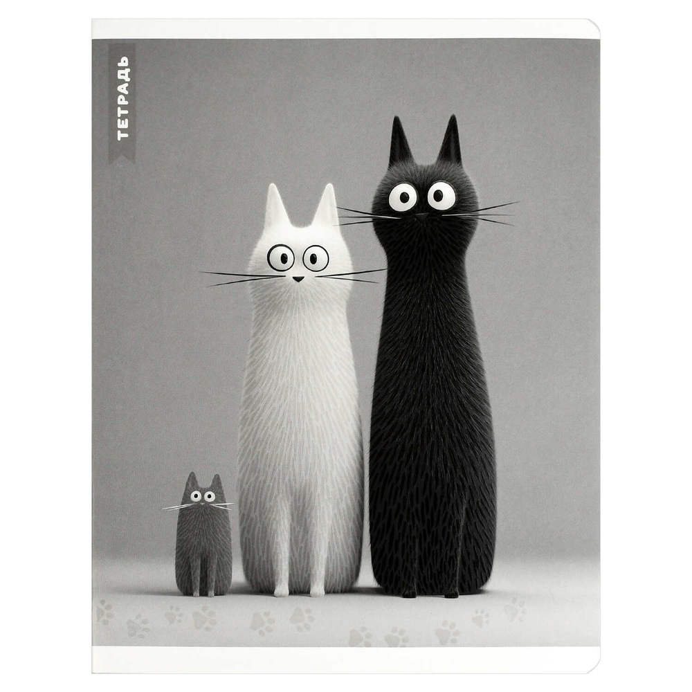 Тетрадь, 48 л, клетка, ЧЕРНО-БЕЛЫЕ КОТЫ /А5