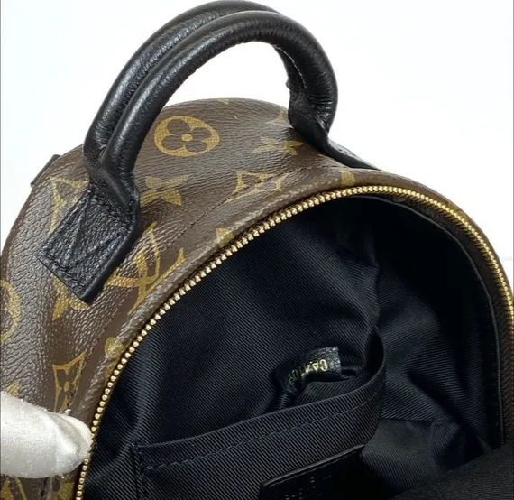 Рюкзак Louis Vuitton Palm Springs PM коричневый