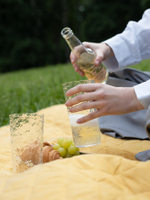 Набор стаканов из акрила arctic, 540 мл, прозрачный, 4 шт.