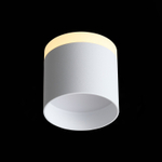 ST102.502.12 Светильник потолочный Белый LED 1*12W 3000K 936Lm Ra&gt;80 120° IP20 D100xH90 170-240V Накладные светильники