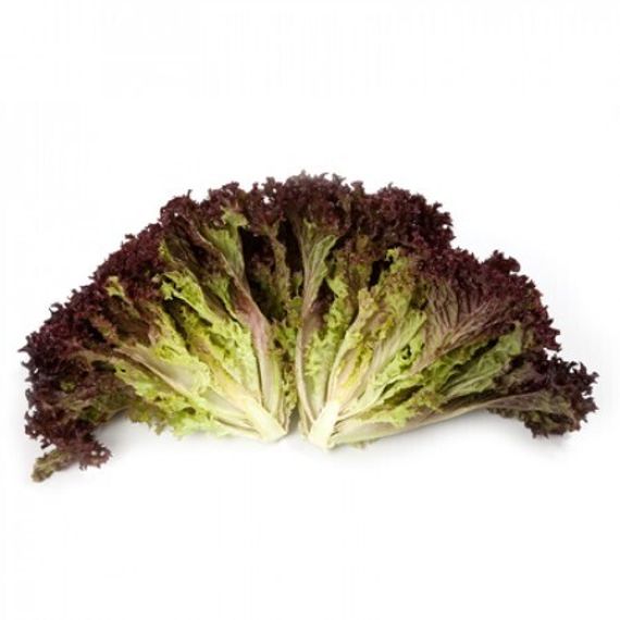 КАРМЕЗИ семена салата Rijk Zwaan отзывы