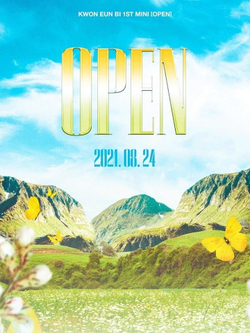 Альбом KWON EUN BI - OPEN 1st Mini Album RANDOM Version
