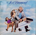 Joel Diamond - Experience