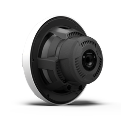 Влагозащищенный сабвуфер 10" Rockford Fosgate M2D2-10I-G2