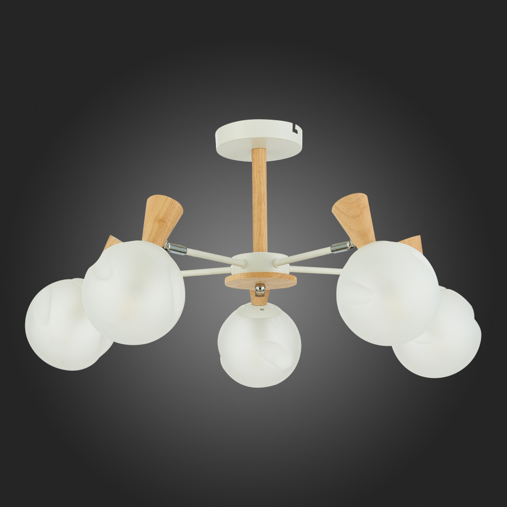 Светильник потолочный Evoluce Catania SLE220702-05