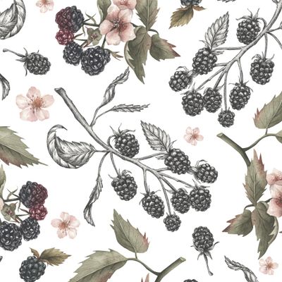 Ежевика ягоды