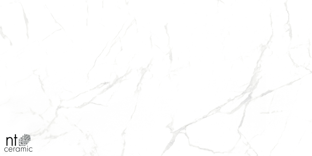 Керамогранит Callacata carving NTT99607M 600*1200мм матовая