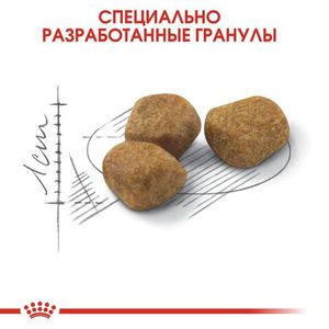 Корм для пожилых кошек, Royal Canin Indoor +7, живущих в помещении