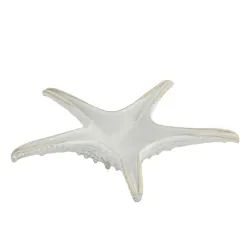 Блюдо для подачи 24 см h6 см Звезда Gray Starfish Frutti di Mare P.L. [1]
