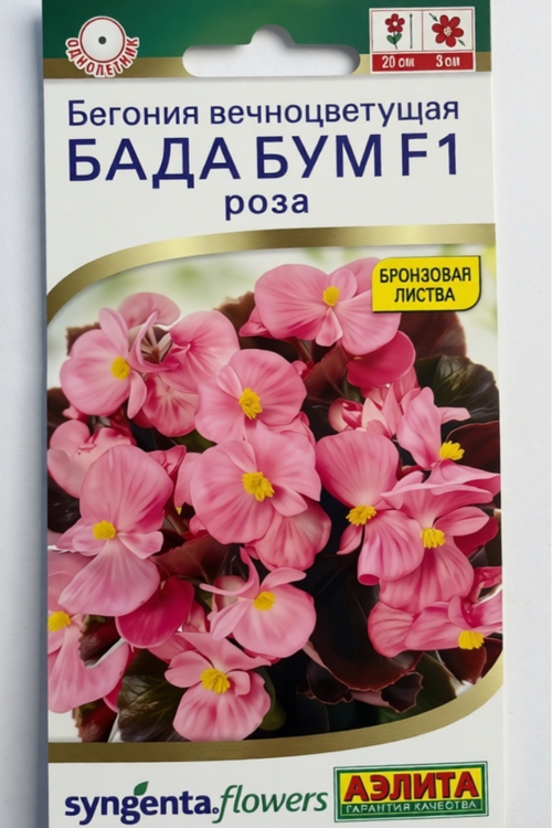 Бегония Бада бум F1 роза СМЦ-770