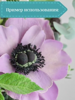 Тычинки мелкие (Черные)