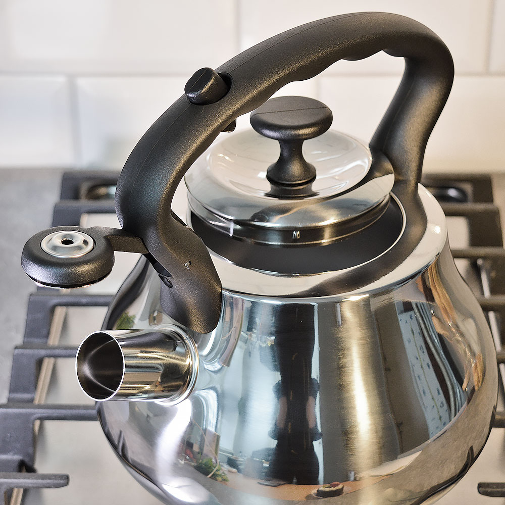 Чайник 2,8л нерж со свистком, зеркальный, нейлон, индукция, "Daniks" GS-04052A