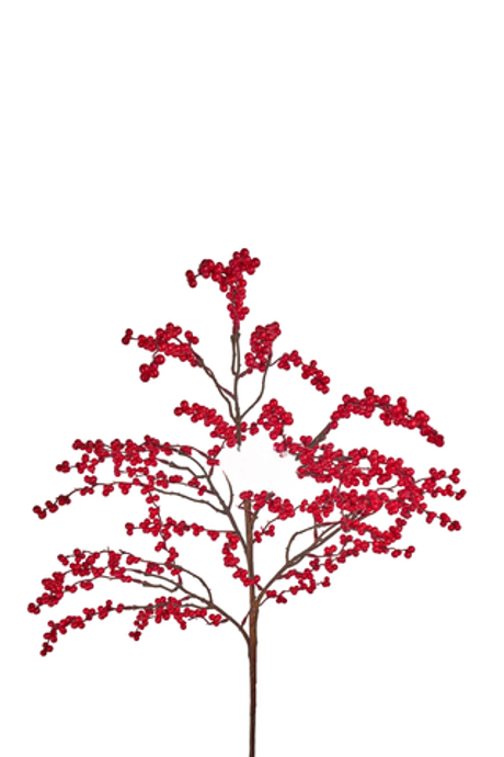 Илекс ветка большая