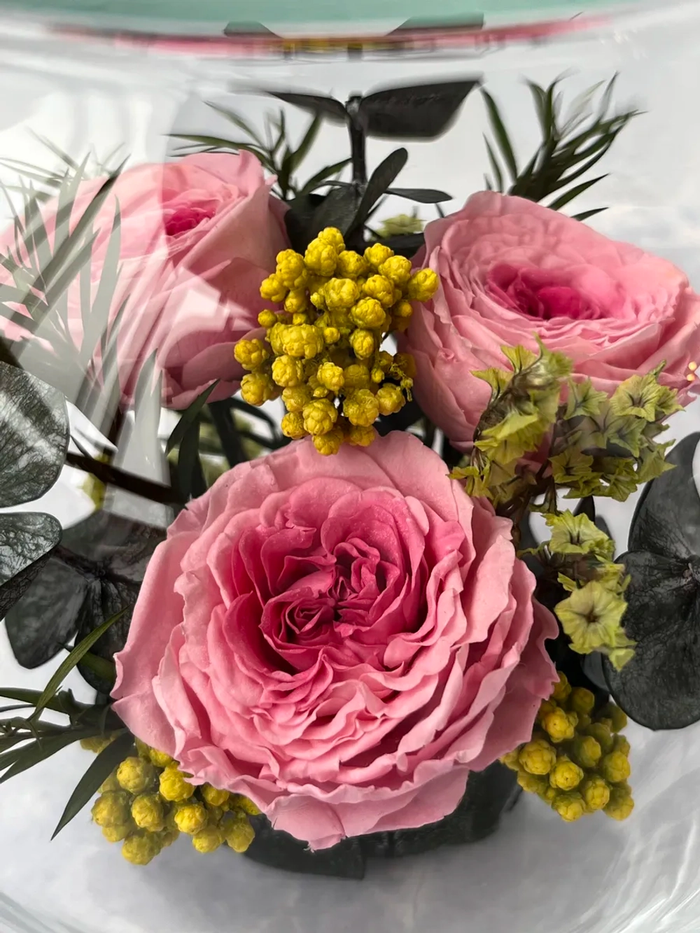 Натуральные пионы в стекле, вакуум