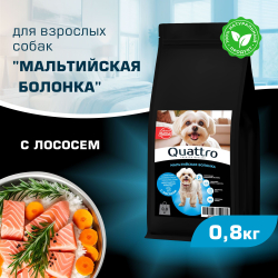 Корм сухой для взрослых собак породы Мальтийская болонка, с лососем, 800 гр, QUATTRO