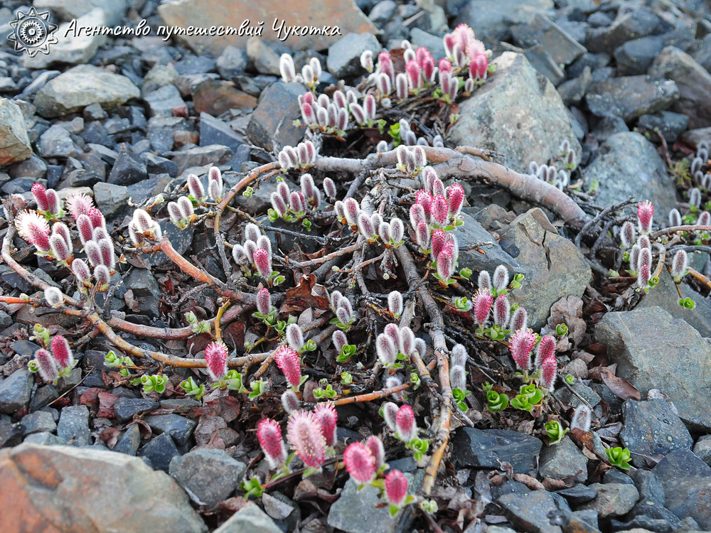 Экскурсия на гору Архангела Михаила