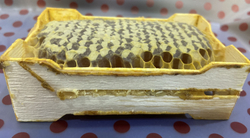 Мёд цветочный в мини- сотах разнотравный, Алтайский край, 385-490 гр.