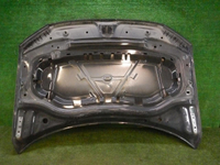 Капот VW Tiguan 2 (2016-2020)