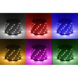 Светодиодная лента ЭРА LS5050-14,4-60-12-RGB+W-IP20-1 year-5m RGB+холодный белый 1 год | Светодиодные ленты 12В 1 год