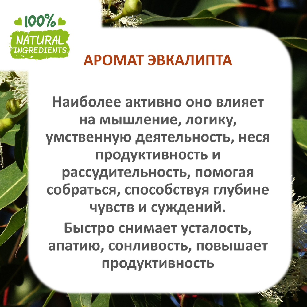 Эвкалипт, отдушка для свечей и мыла