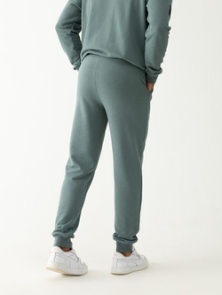 Костюм мужской спортивный (без начеса). Полынь