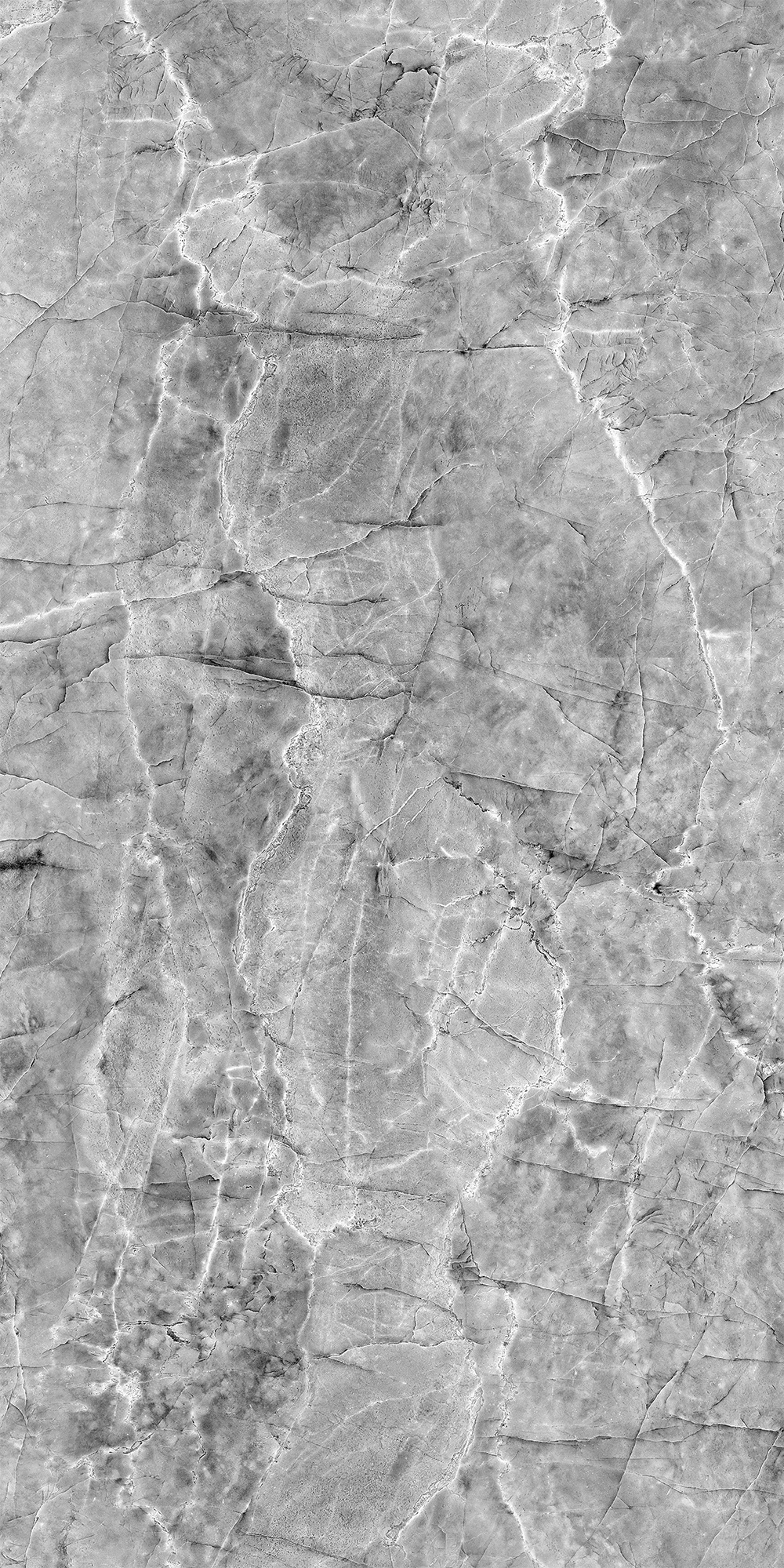 Шерл Сильвер