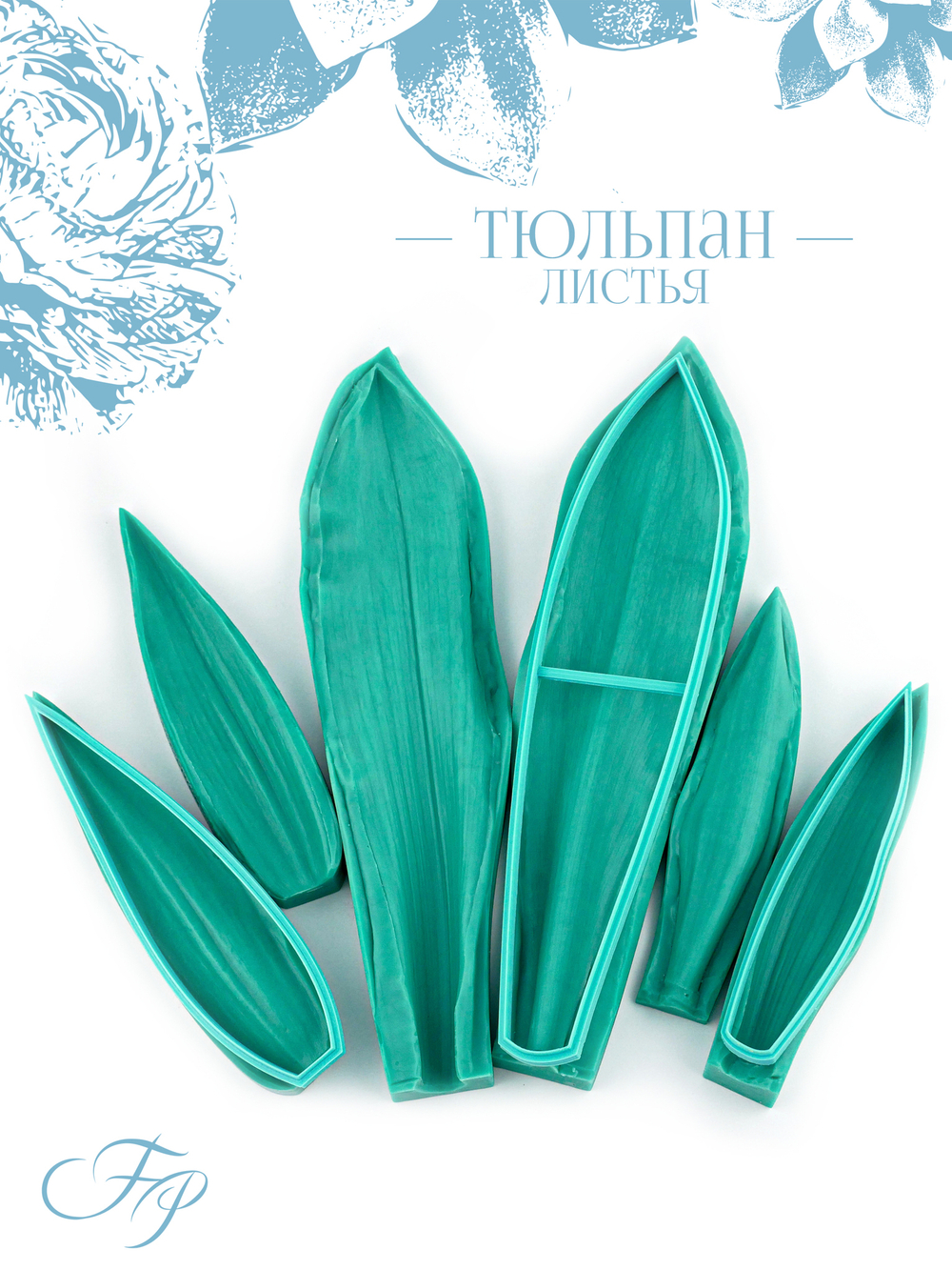 Тюльпан листья