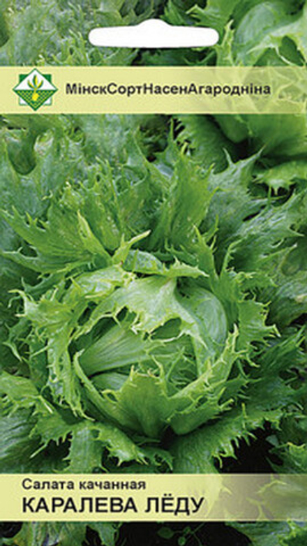 Салат кочанный "Королева льда" 0.5г, Италия.