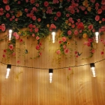 Гирлянда для улицы «Лампа» 3м, 15 ламп LED чёрный провод, 2 реж, IP-55, Теплый белый (солнечная батарея).