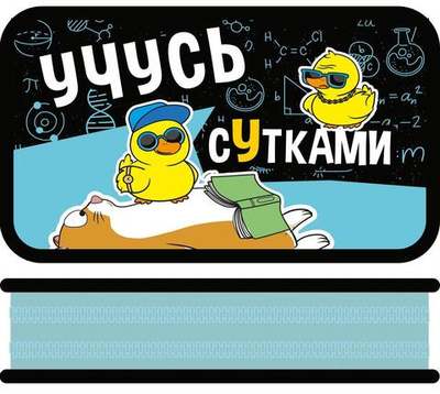 Пенал 2 секц. большой тканевый торец 190/105 "Учусь сутками 2025" (Пчелка)