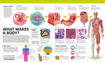 Knowledge Encyclopedia: Human Body!