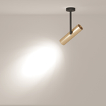 Накладной светильник Maytoni Elti C020CL-01GB