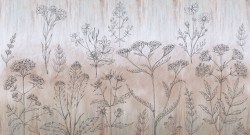 Коллекция Grafika Natura