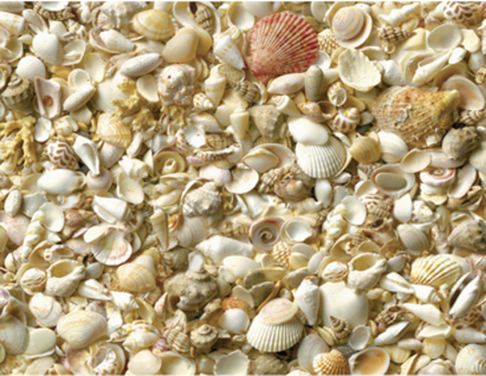 Панель SP 020 2800х610х6