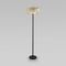 Торшер Eurosvet Cella 01150/3 Strotskis