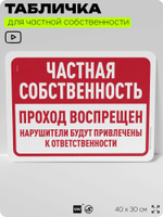 Табличка для частной территории "Частная собственность, проход воспрещен", на дом, для участка, организаций, предупреждающая, 40х30 см, Silver Plane x Айдентика Технолоджи