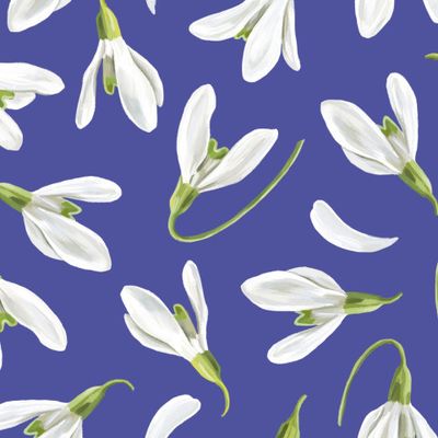 Подснежники на синем фоне