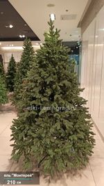 Искусственная ёлка «Монтерей» (Литая хвоя) 240 см / 2.4 м