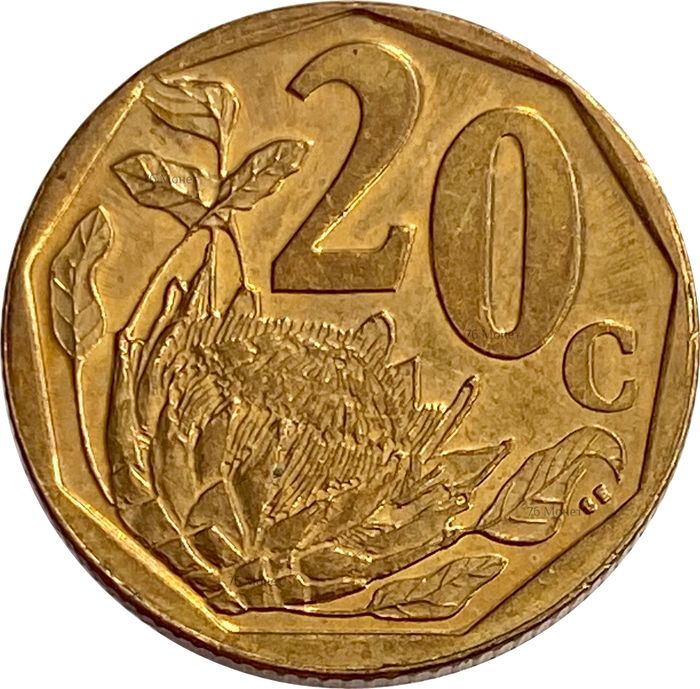 20 центов 2009 ЮАР
