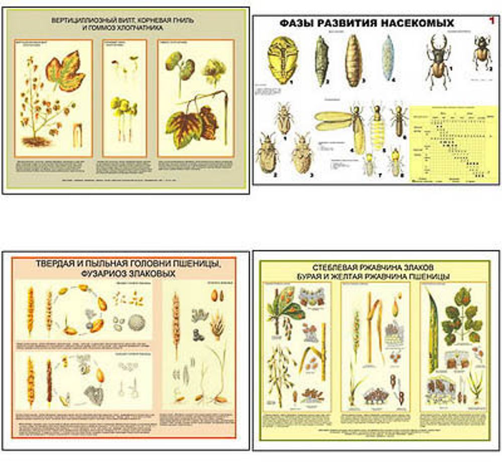 Плакаты ПРОФТЕХ &quot;Вредители и болезни с/х культур и меры борьбы с ними&quot; (11 пл, винил, 70х100)