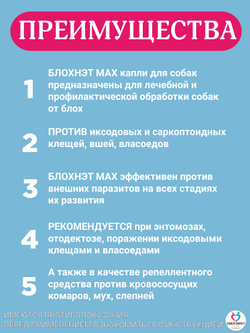 Капли на холку для кошек и котят всех пород от блох, вшей, власоедов, иксодовых и саркоптозных клещей и кровососущих комаров БлохНэт MAX (Астрафарм),1мл