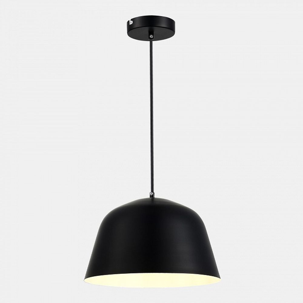 Подвесной светильник EVOLUCE Blank SLE1805-403-01