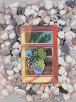 Значок Монстера