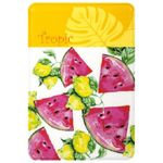 Обложка-карман на проездные документы, Staff Tropic, ПВХ, ассорти